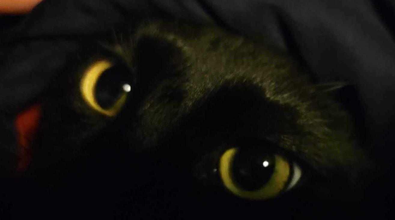 PM Test Featured Campaigns