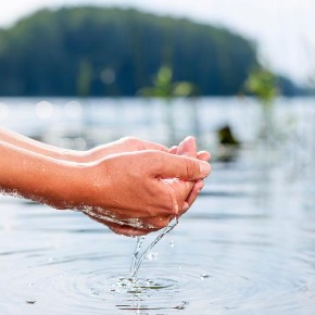 Hands cupping water from a river outside.