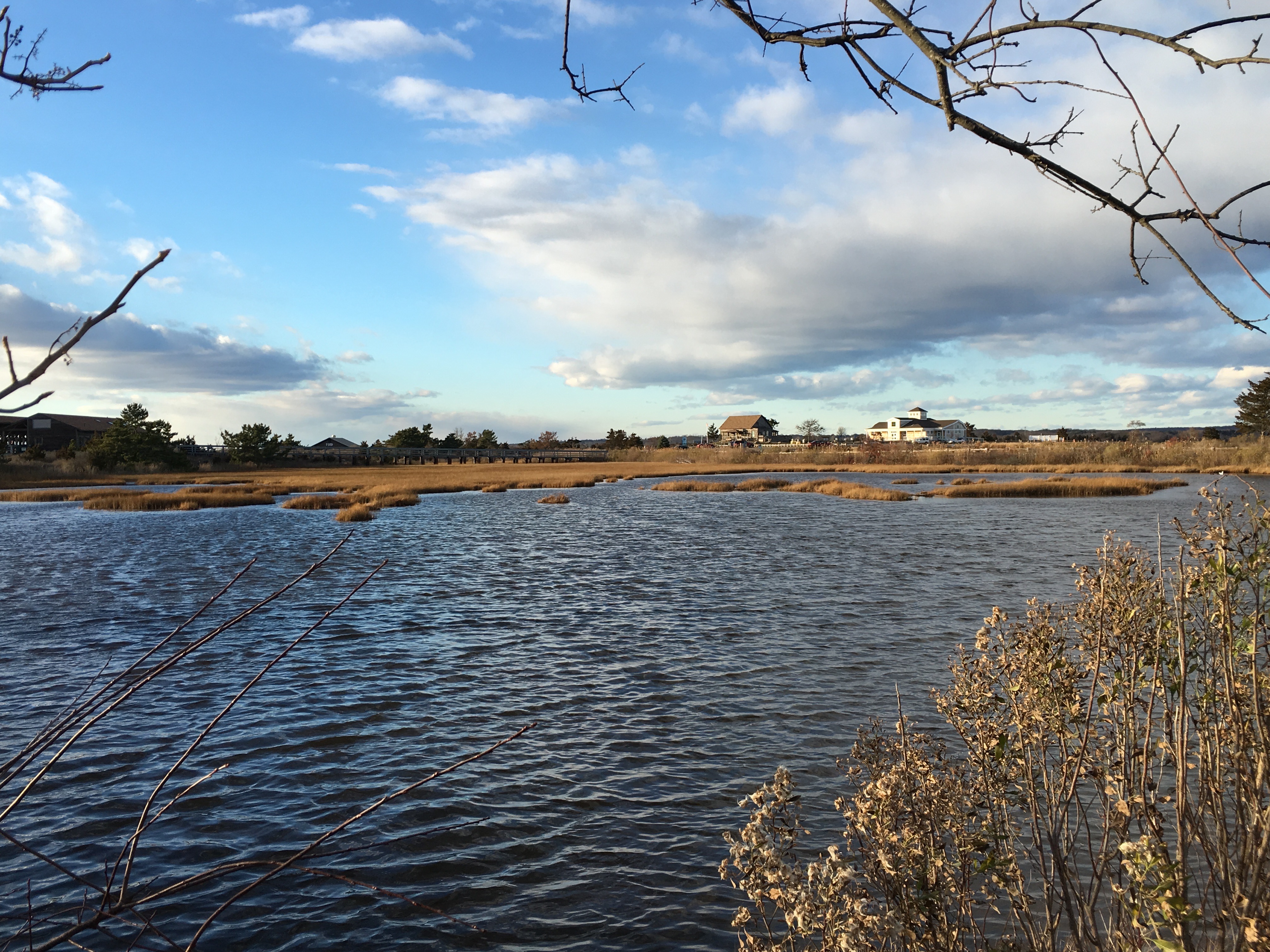 Beach by Southern Connecticut State University