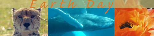 Earth Day 2012
