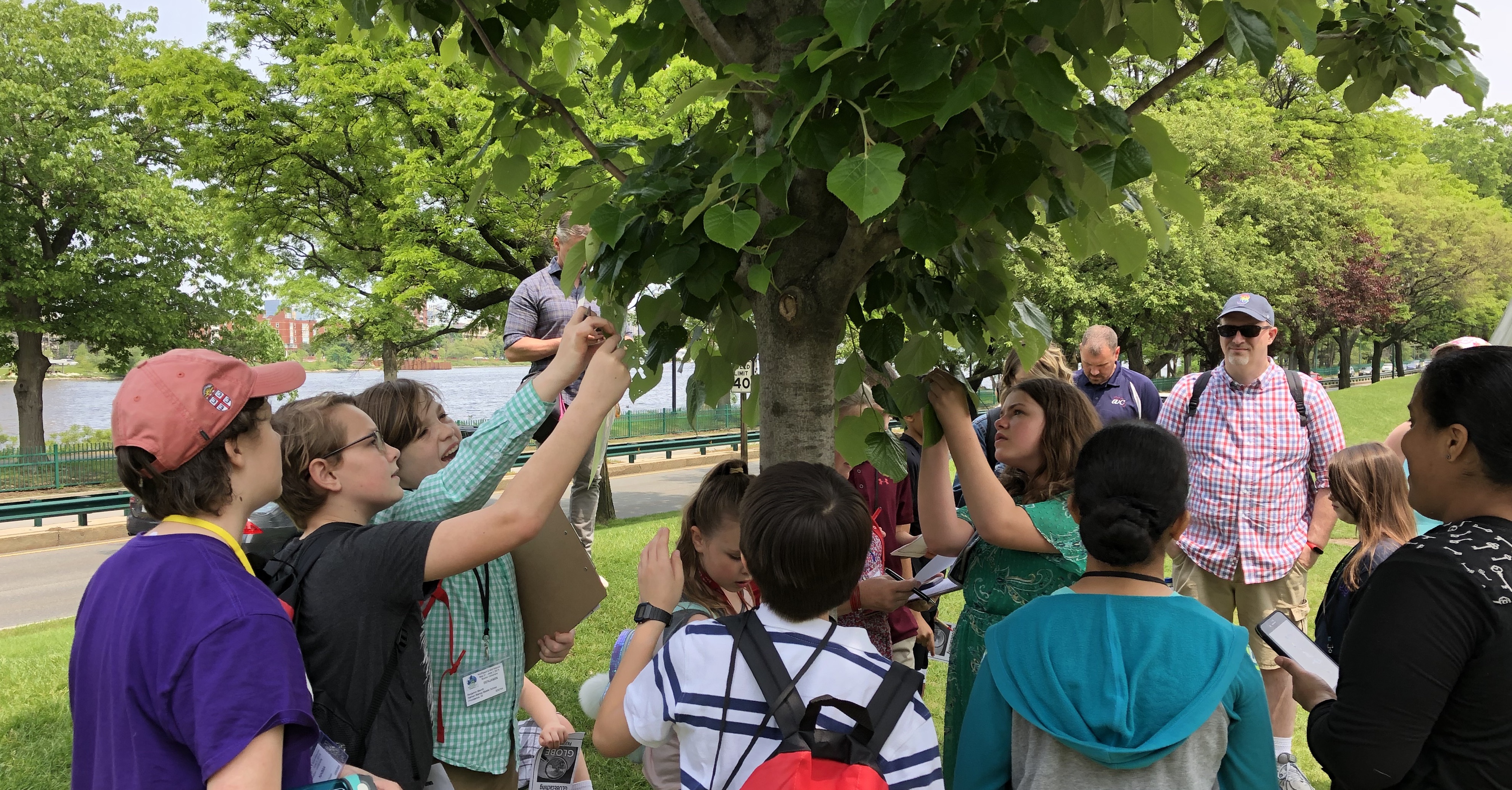 Students at a GLOBE Student Research Symposium observe leaf color