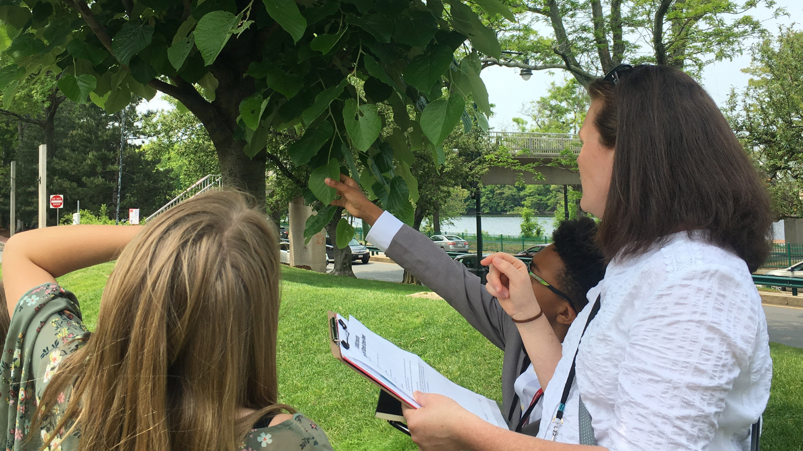 an educator works with students to observe leaf color on a tree