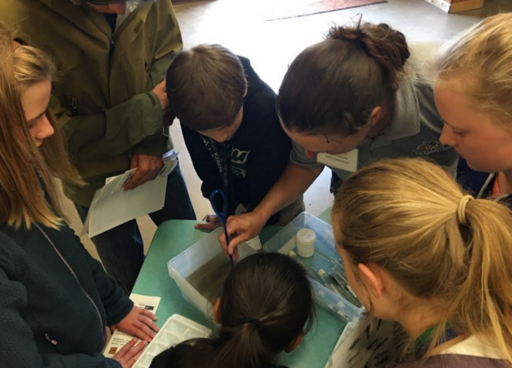 Activities at the Midwest SRS