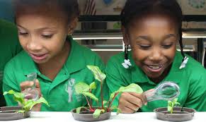 NWF Green STEM event