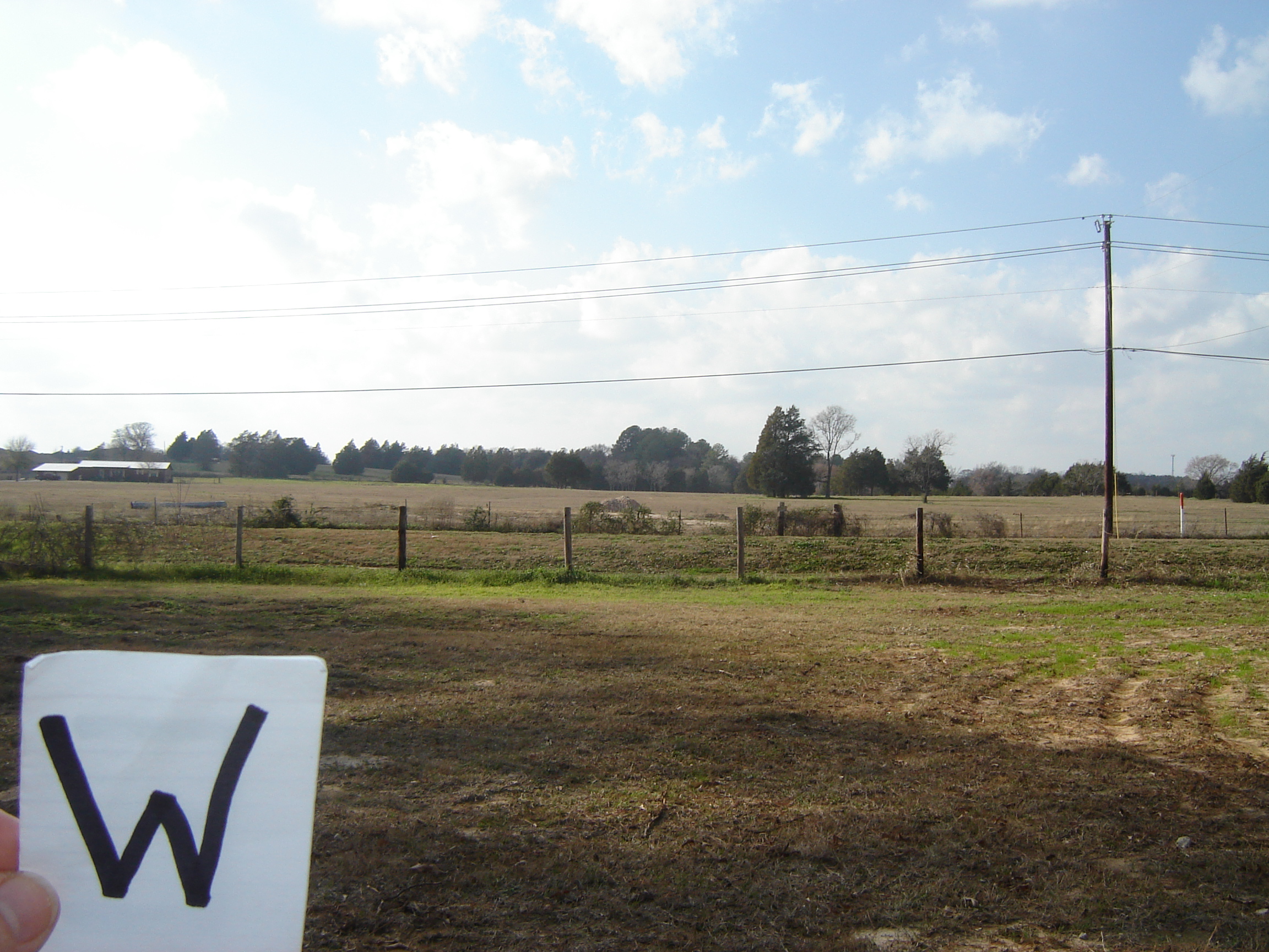 Land cover photograph from Six Pines School, Texas