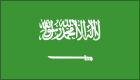 Saudi Arabia logo